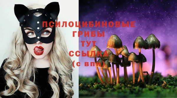 спайс Баксан